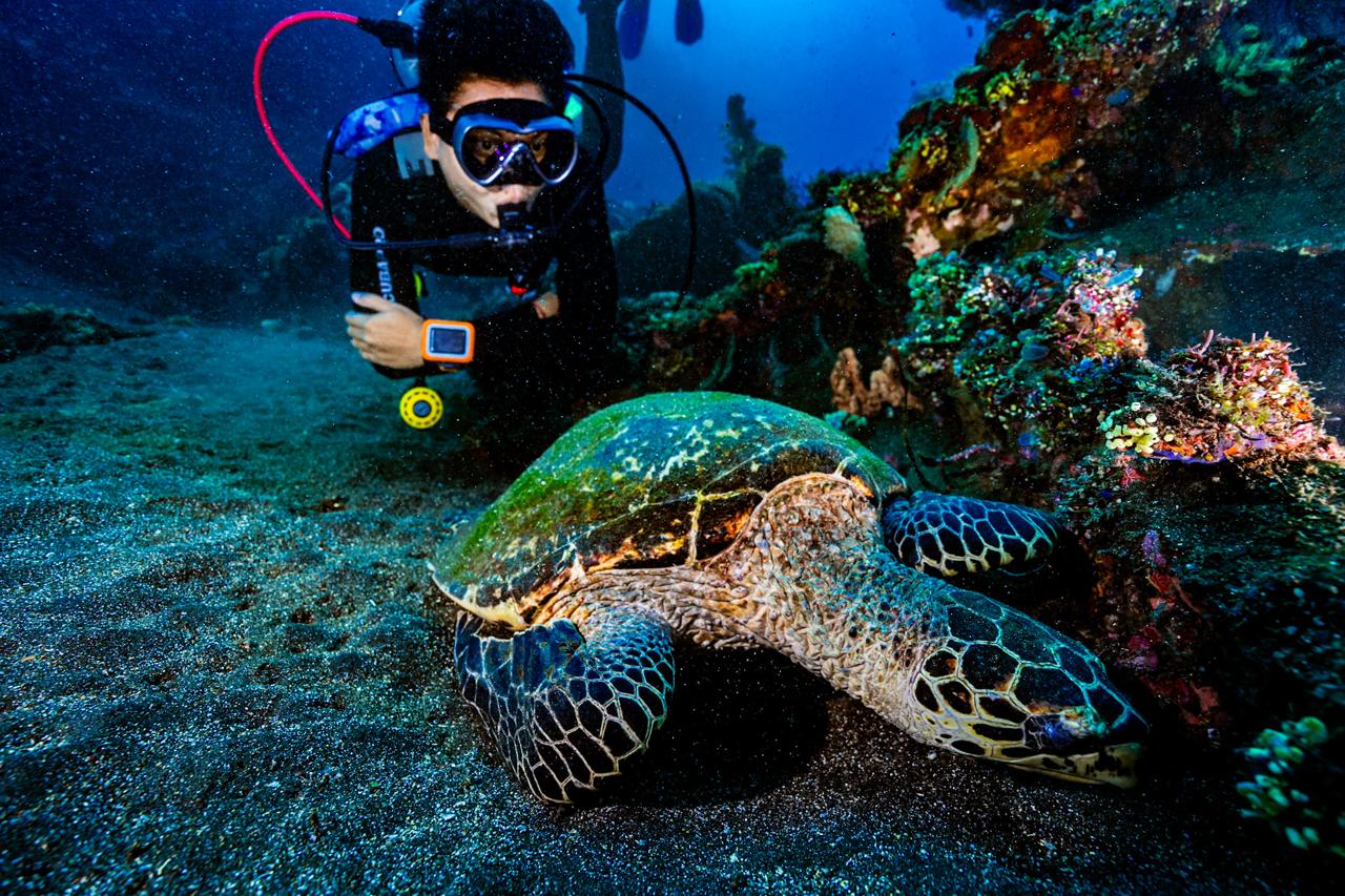 The Beauty of Diving in Tulamben